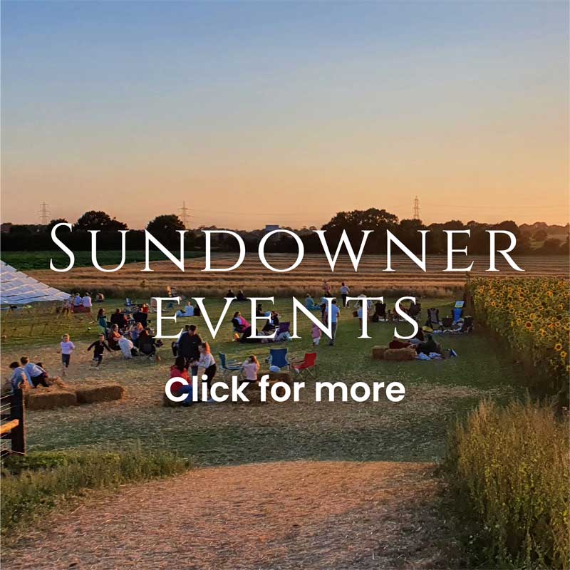 Sundowner Events