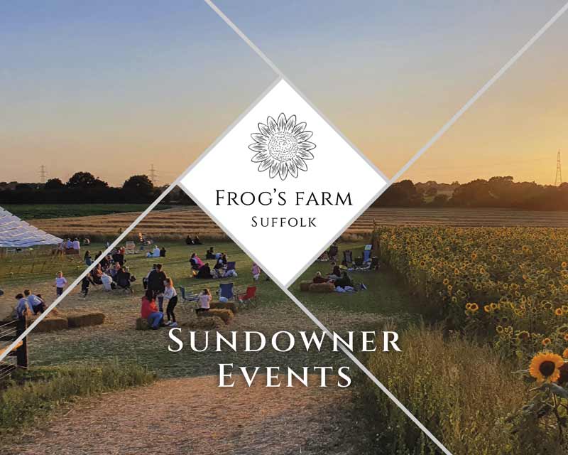 Sundowner Events at Frog's Farm